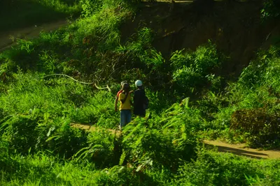 DSC_7786 (Large).JPG